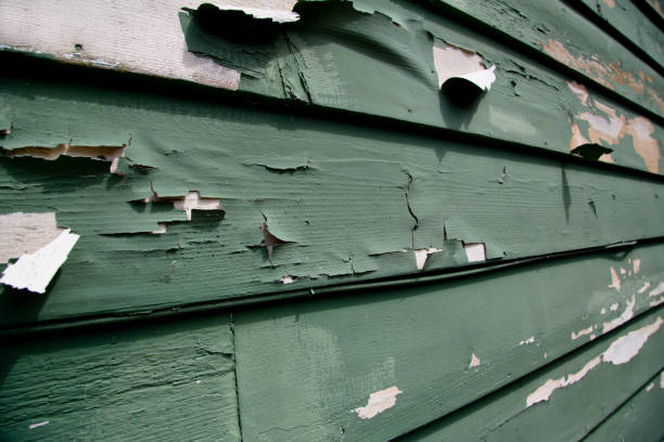 Best Demolition Debris Removal  in Palm Bay, FL