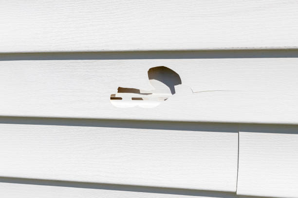 Best Shed Removal  in Palm Bay, FL