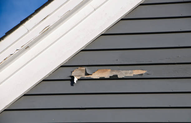 Best Same-Day Junk Removal Services  in Palm Bay, FL