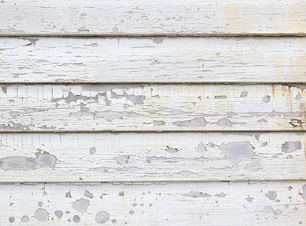 Demolition Debris Removal in Palm Bay, FL